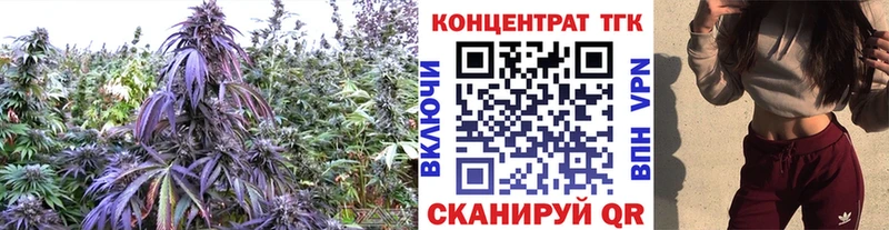 наркошоп  Нерюнгри  ОМГ ОМГ как войти  ТГК гашишное масло 