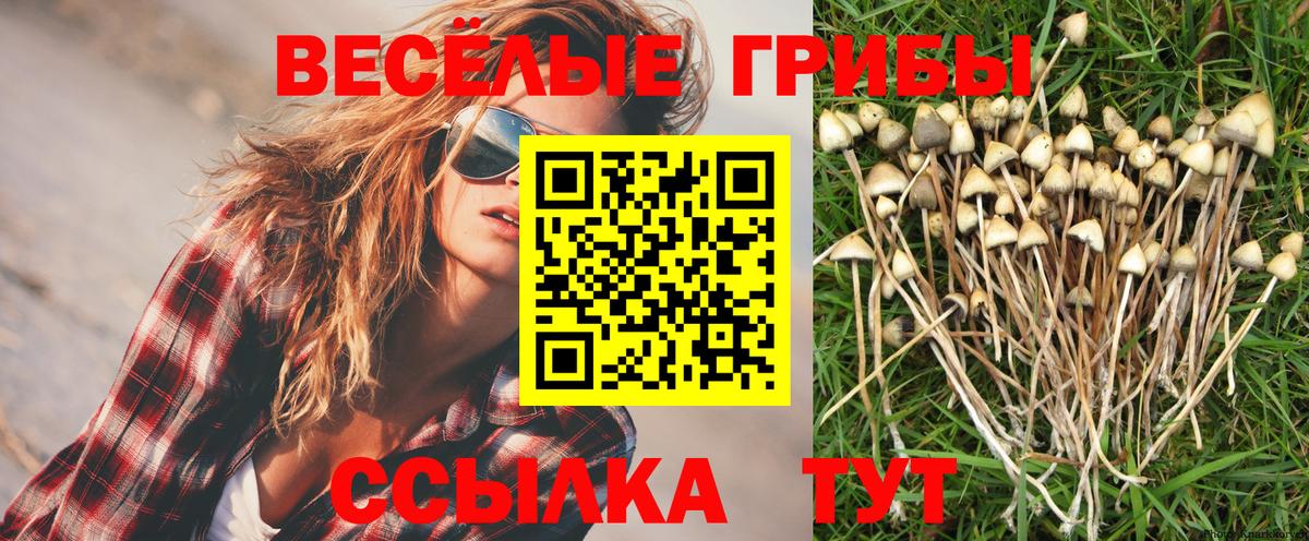 Нерюнгри  Галлюциногенные грибы MAGIC MUSHROOMS  Вход с VPN 